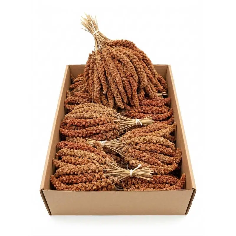 Kırmızı Dal Darı 12-20cm 1 Kg 