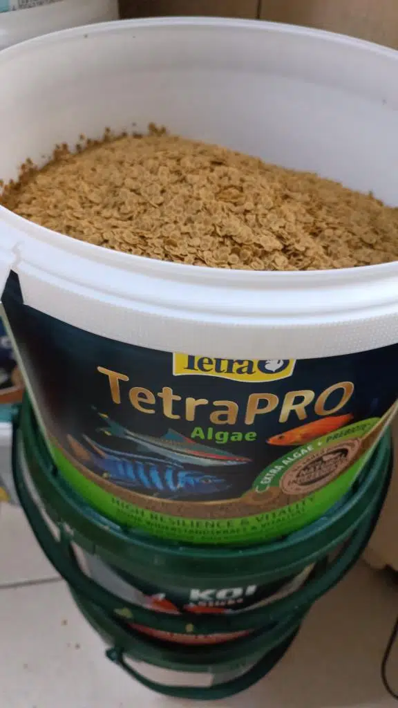 Tetra Pro Algae 250 gr Skt: 07/2028 Bitkisel Cichlid Balık Yemi Kovadan Bölme